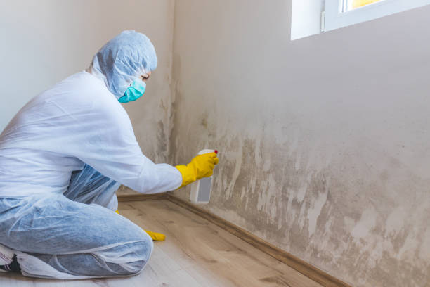 Mold inspector in Hudson performing thermal imaging